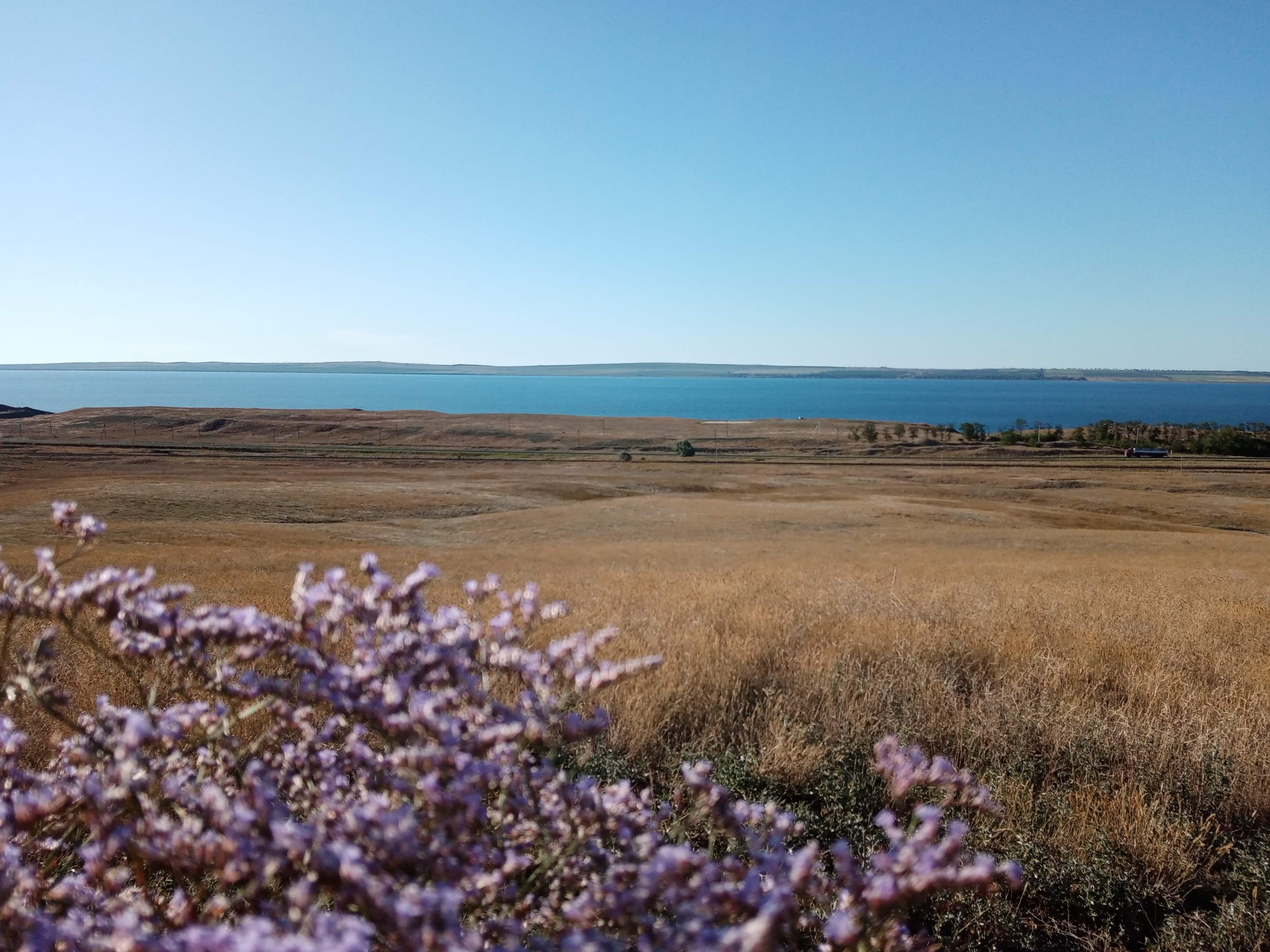 Фото Таманский берег
