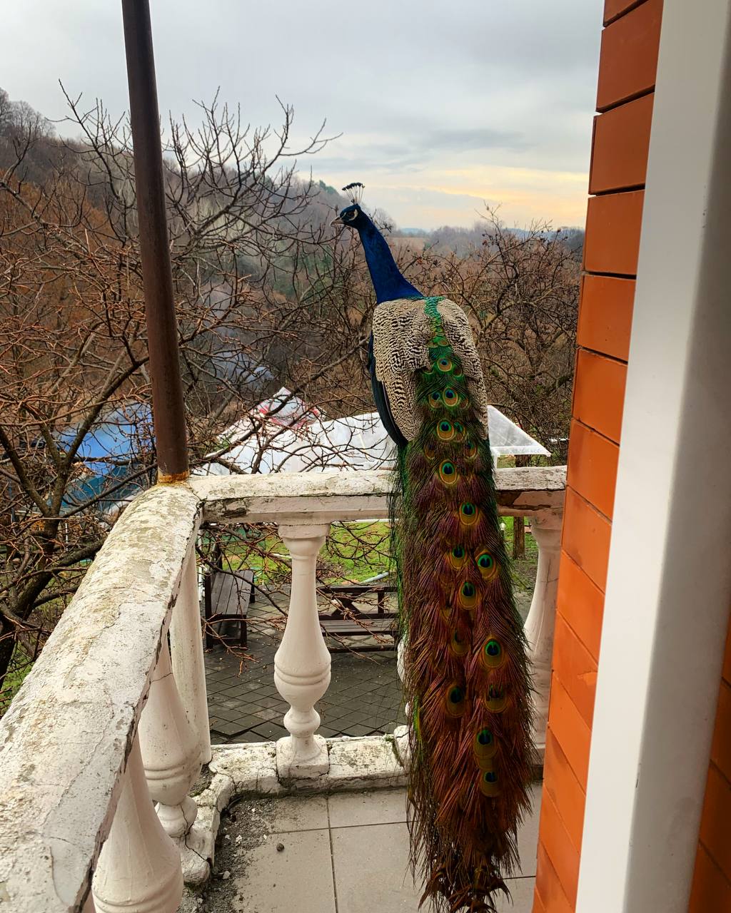 Фото Заповедник