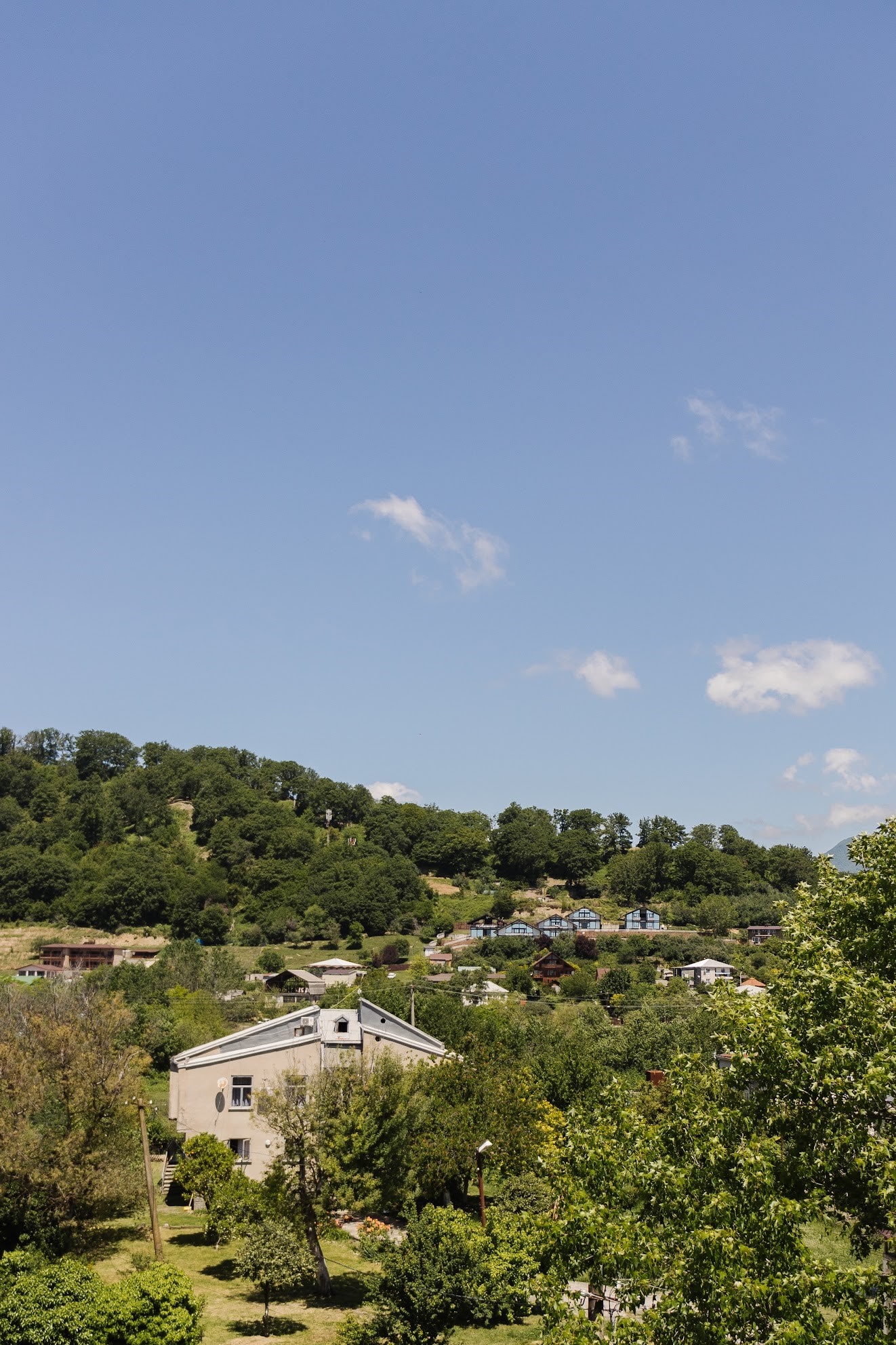 Фото Талион