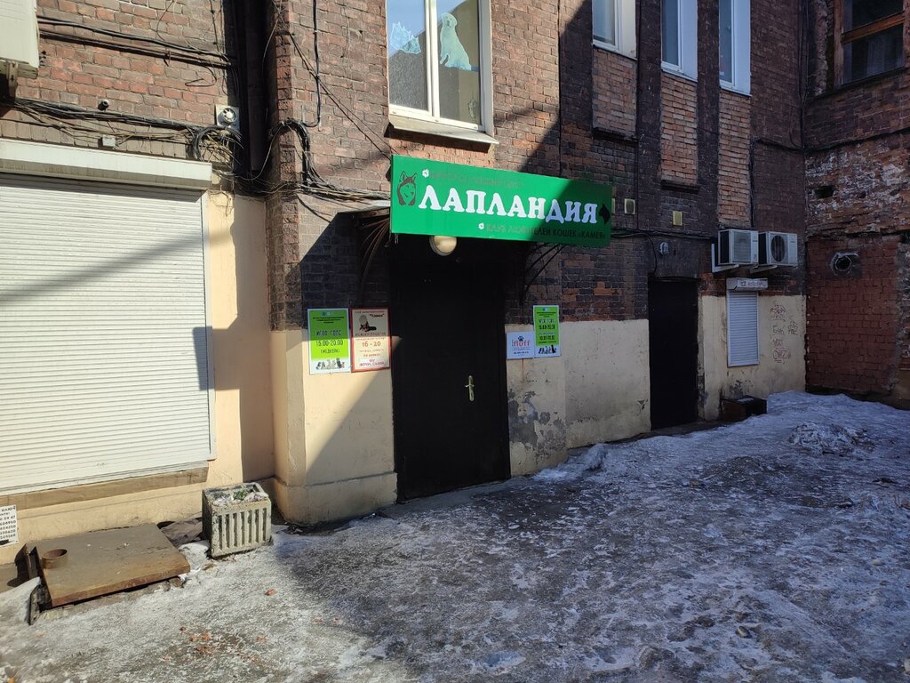 مركز حديقة الحيوان Irkutsky gorodskoy klub lyubiteley koshek Kameya ، إيركوتسك، صورة