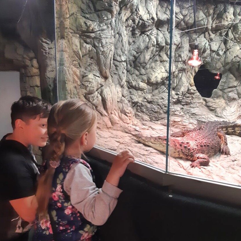 Океанариум волгоград пушкинская карта