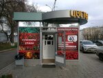 Уральская роза (Chelyuskintsev Street, 11В), flower shop