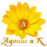 Adonis i K (Tsentralniy Microdistrict, Unykh Lenintsev Street, 10), pharmacy