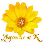 Adonis i K (Tsentralniy Microdistrict, Roz Street, 14), pharmacy