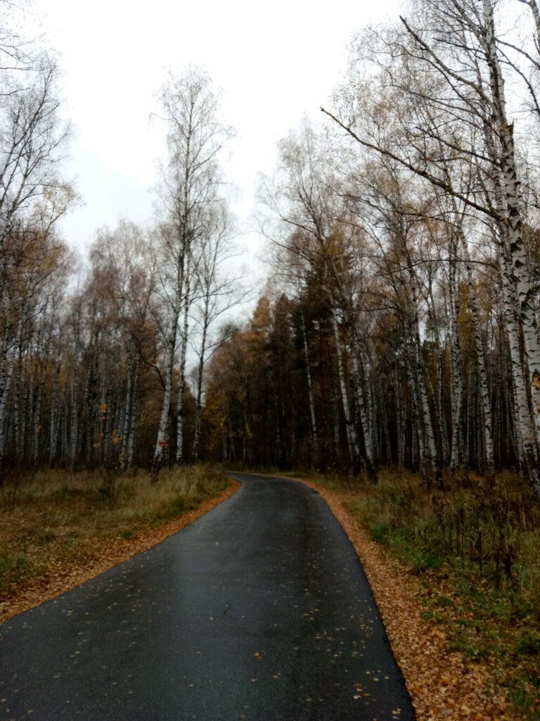 Сортировочное кладбище нижний новгород сортировочное кладбище фото