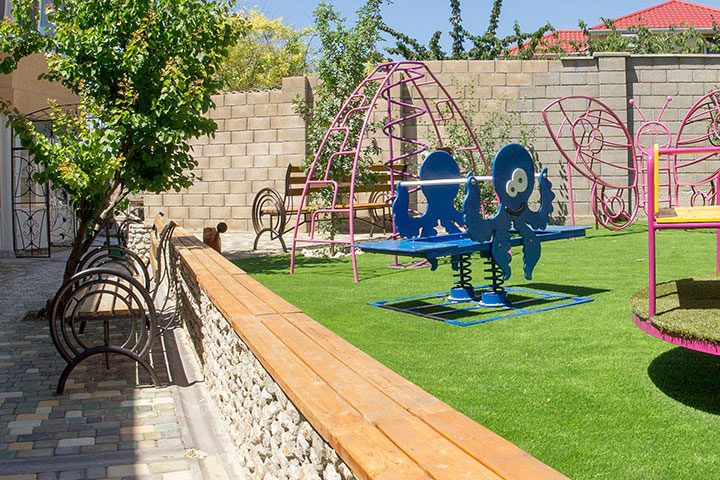 Фото Дельфин