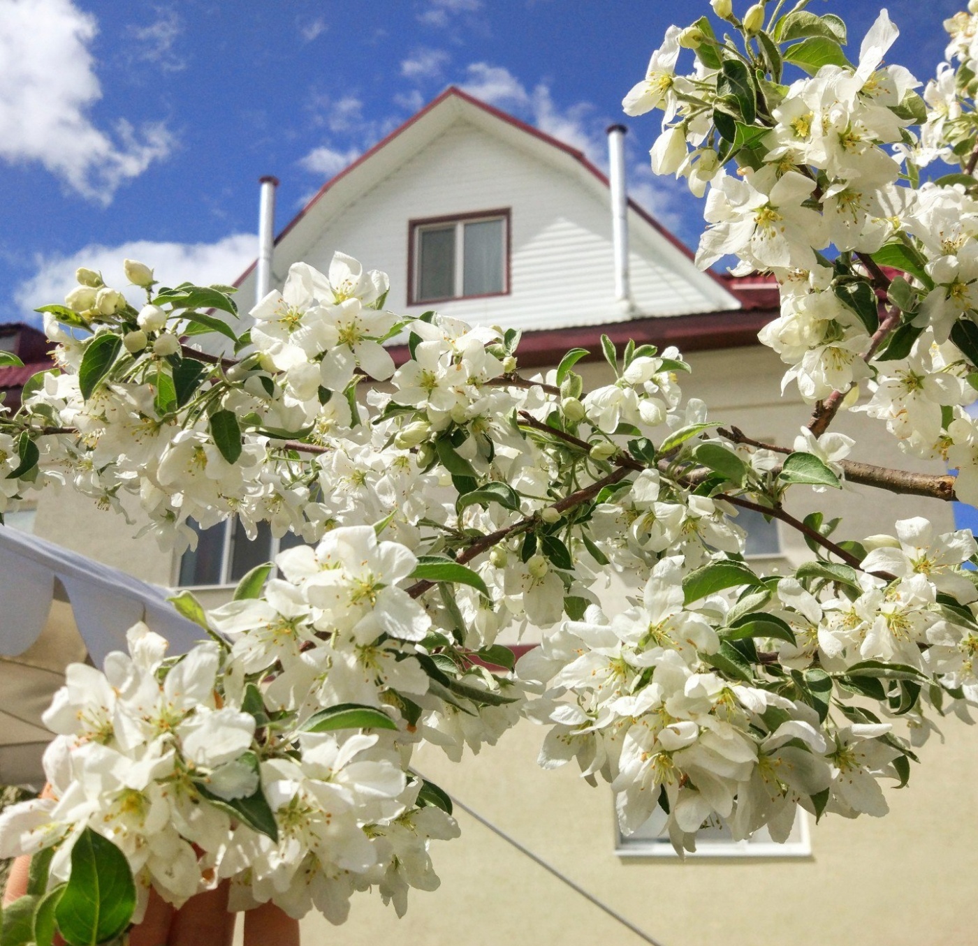 Фото Кафтан