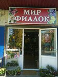 Мир фиалок (Tsentralniy Microdistrict, Unykh Lenintsev Street, 14А), flower shop