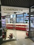 SilverStone (Esenina Street, 64), jewelry store