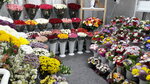 SemiCvet+ (Svyatoozyorskaya Street, 3), floristeria