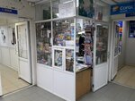 Точка продажи прессы (Shchyolkovo-3 Microdistrict, ulitsa Gagarina, 3А), newsagents