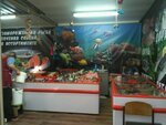 Свежезамороженная рыба (Yana Fabritsiusa Street, 58), fish and seafood