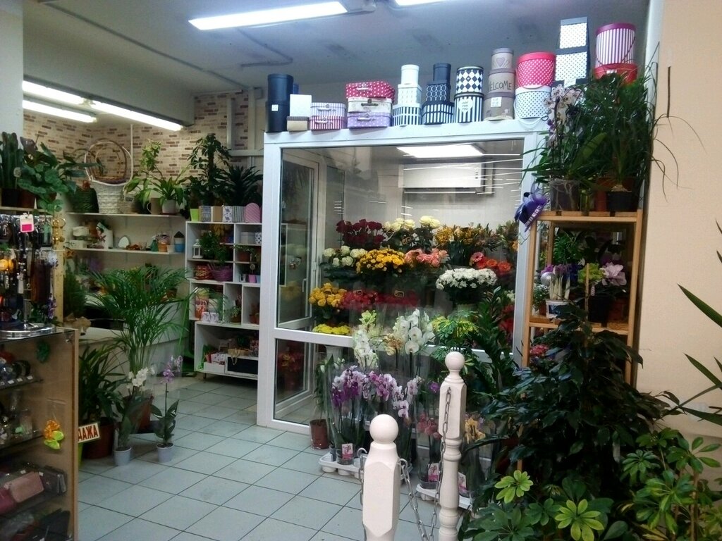 Магазина 1 Минск