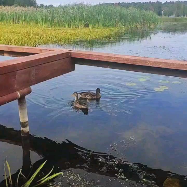 Фото Villa Natella