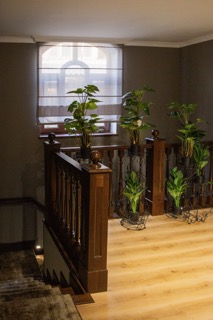 Фото Восток