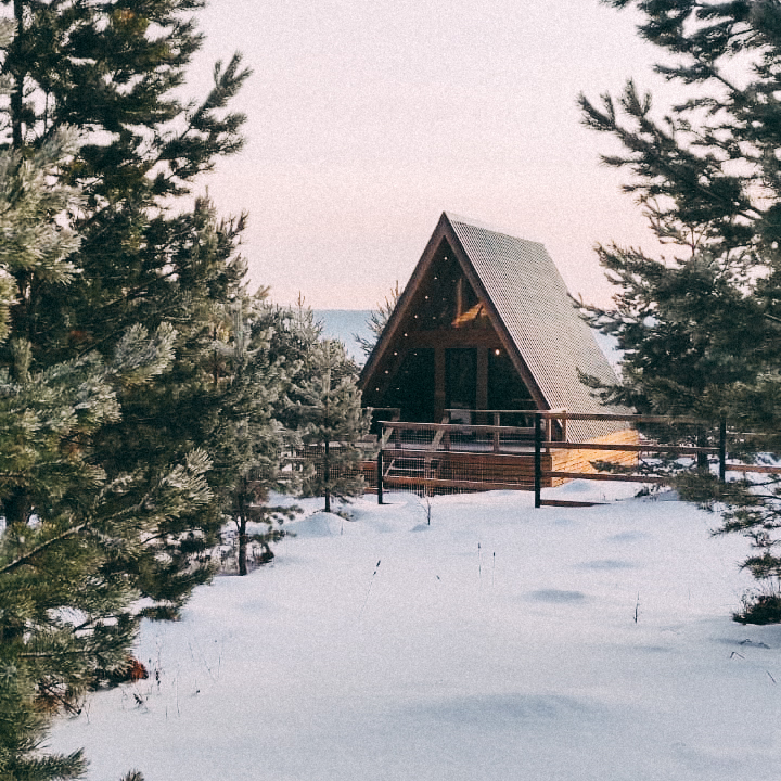 Фото Ёлки Кэмп