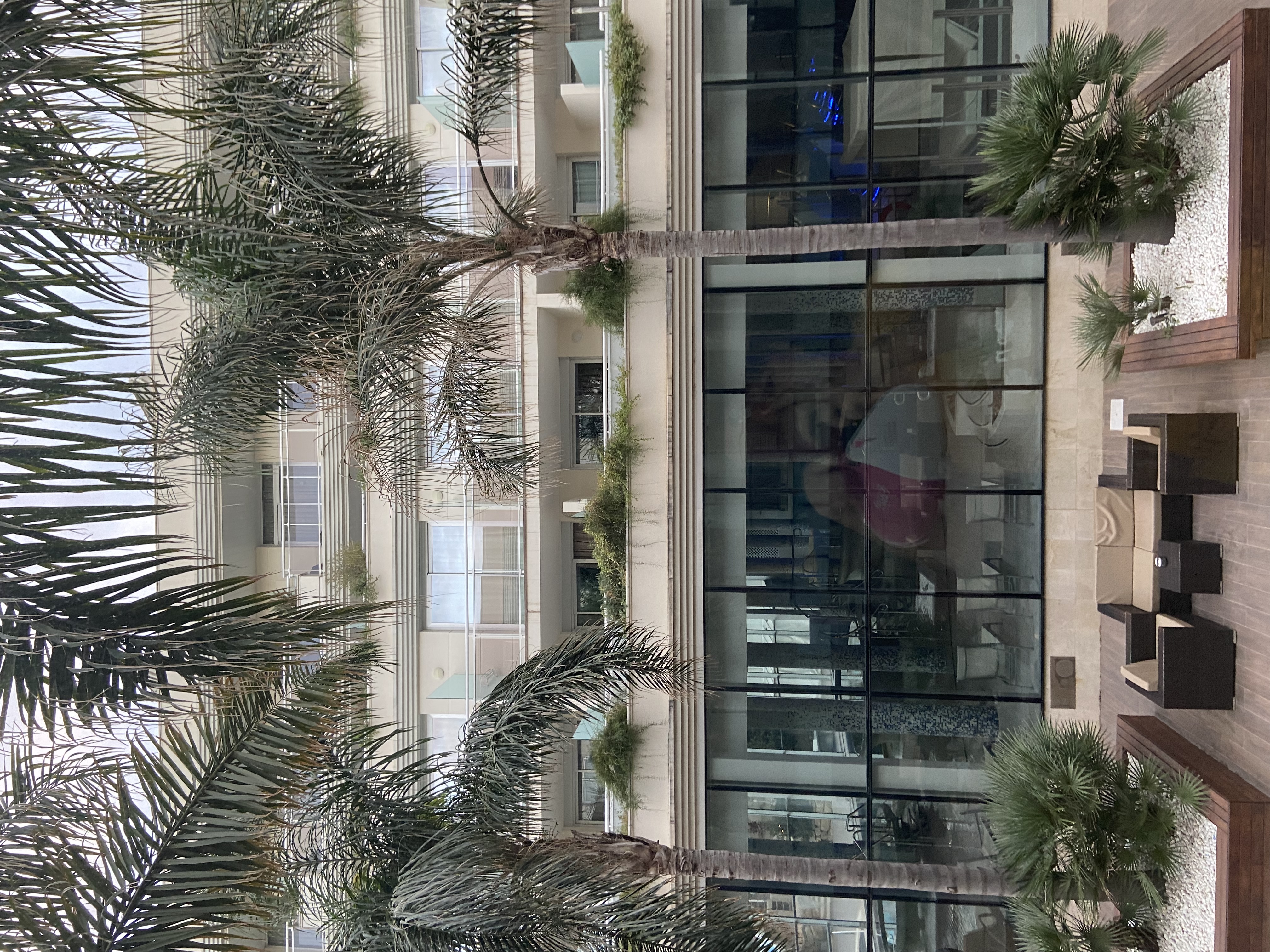 Фото Hotel Gran Palas Experience