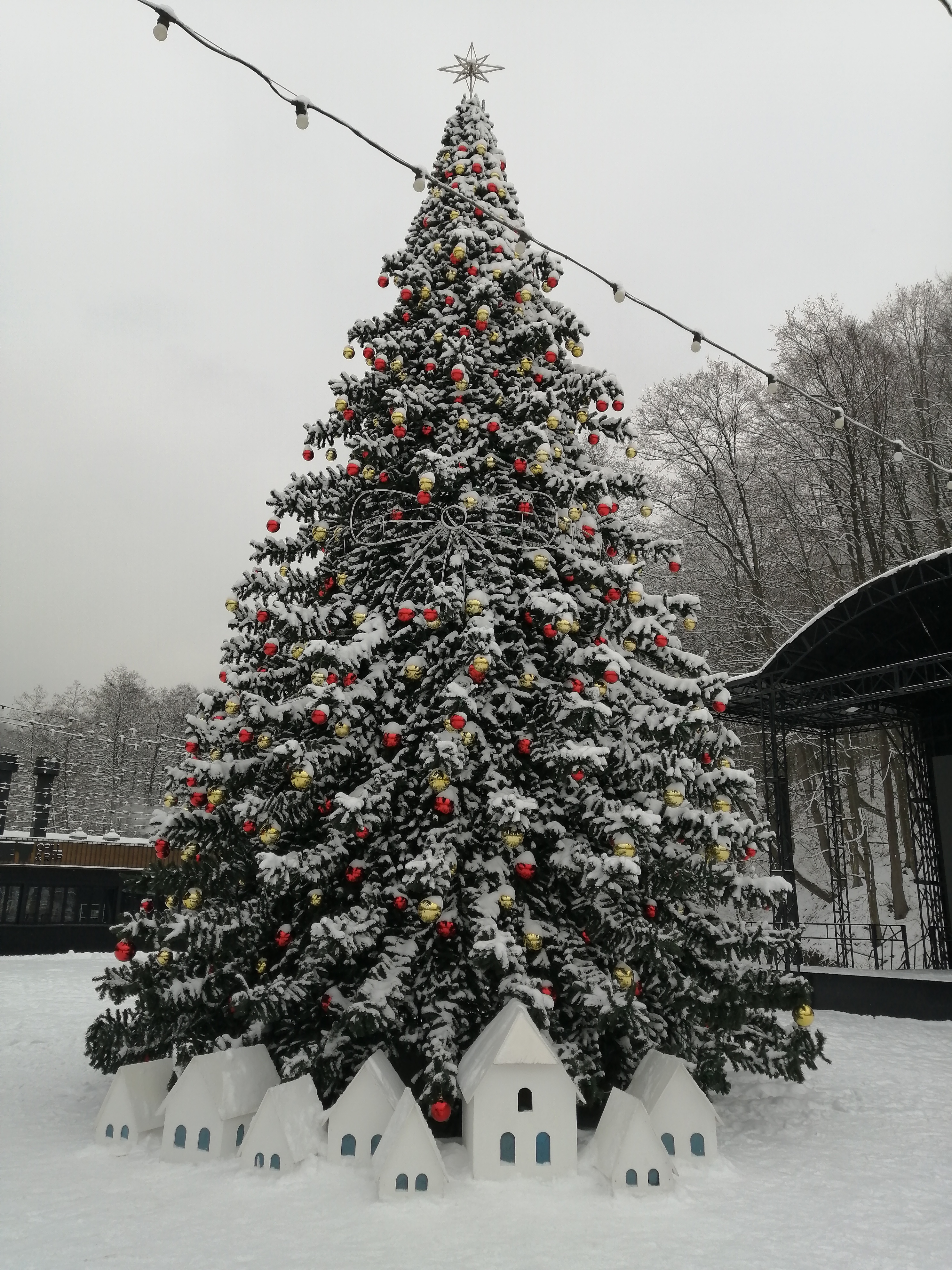 Фото Альпина парк