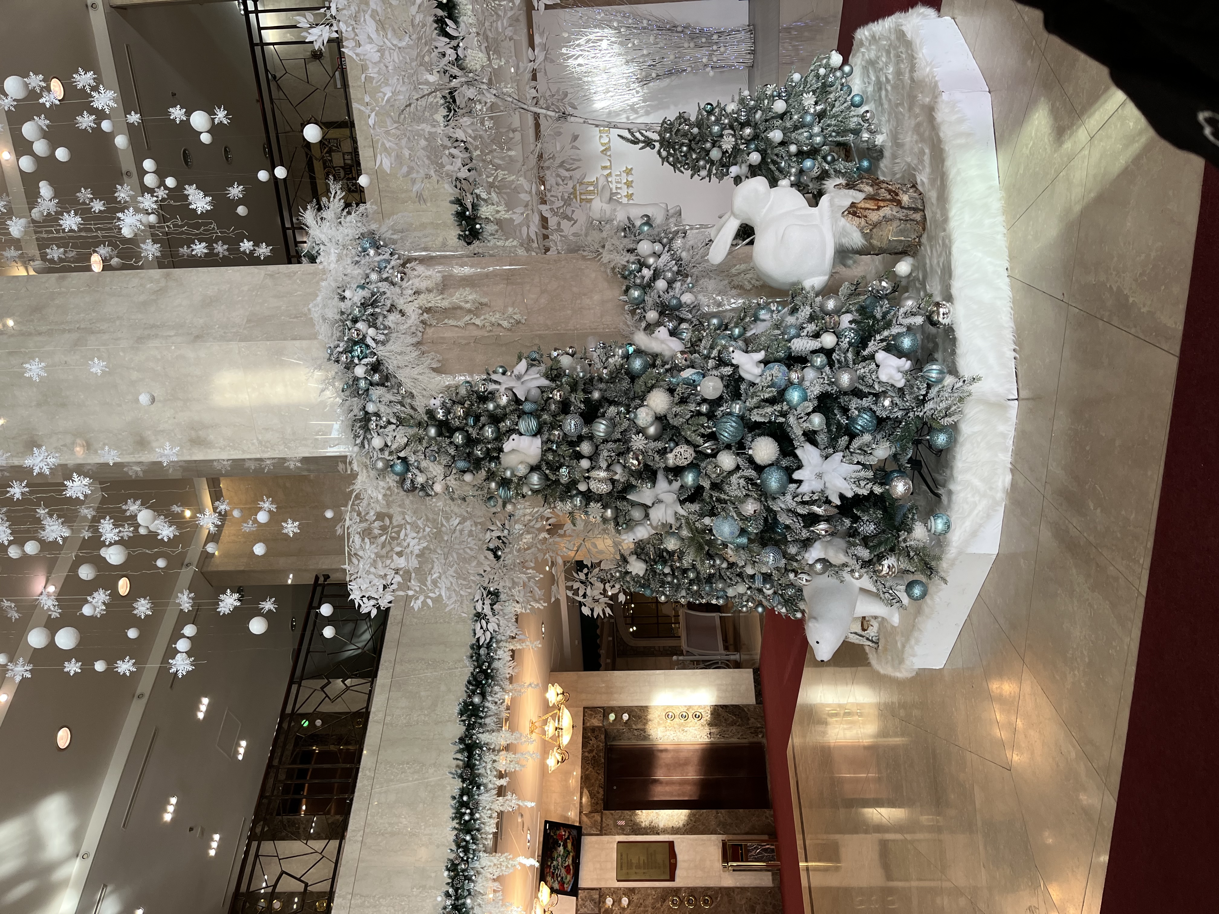 Фото Мега Палас