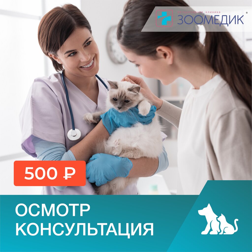 Veterinary clinic Zoomedic, Moscow, photo