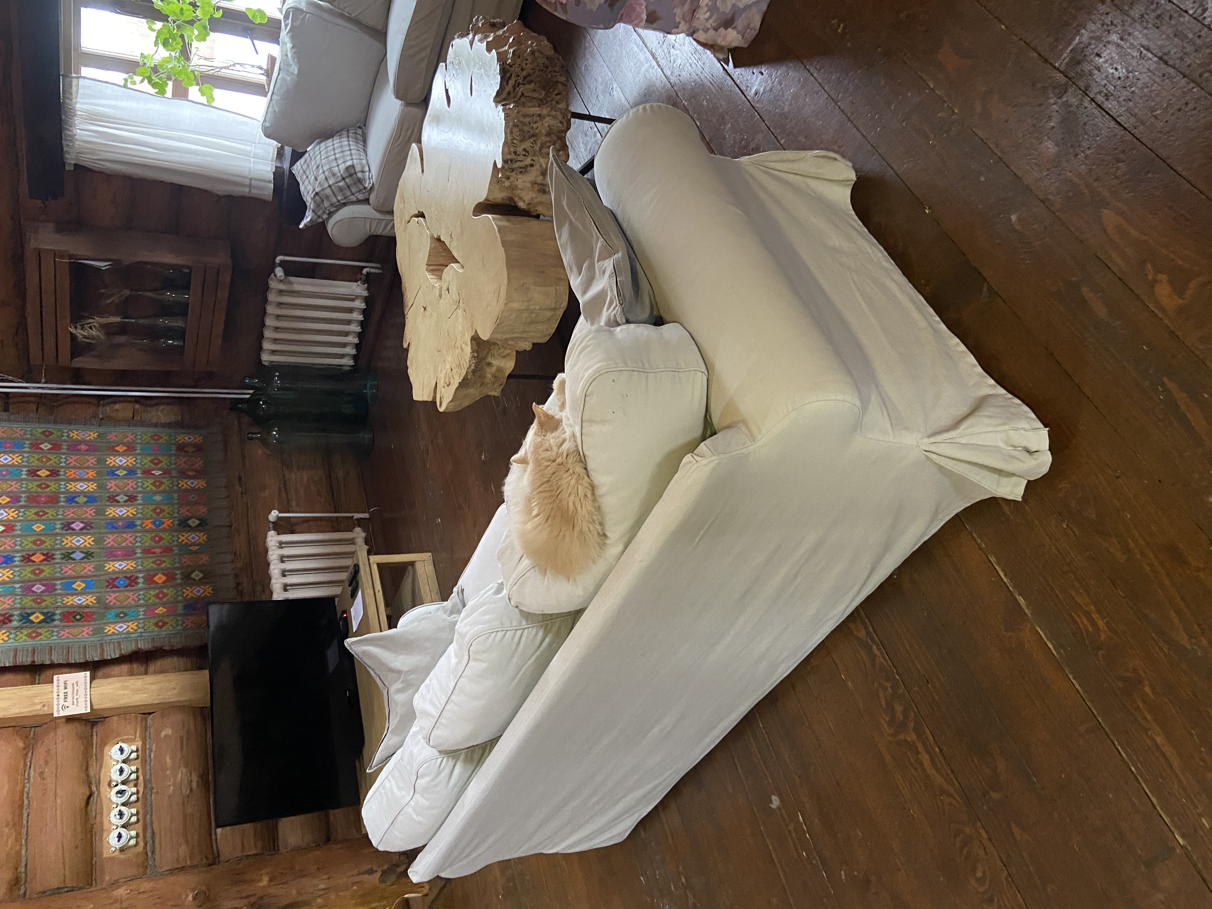 Фото Бобровая долина