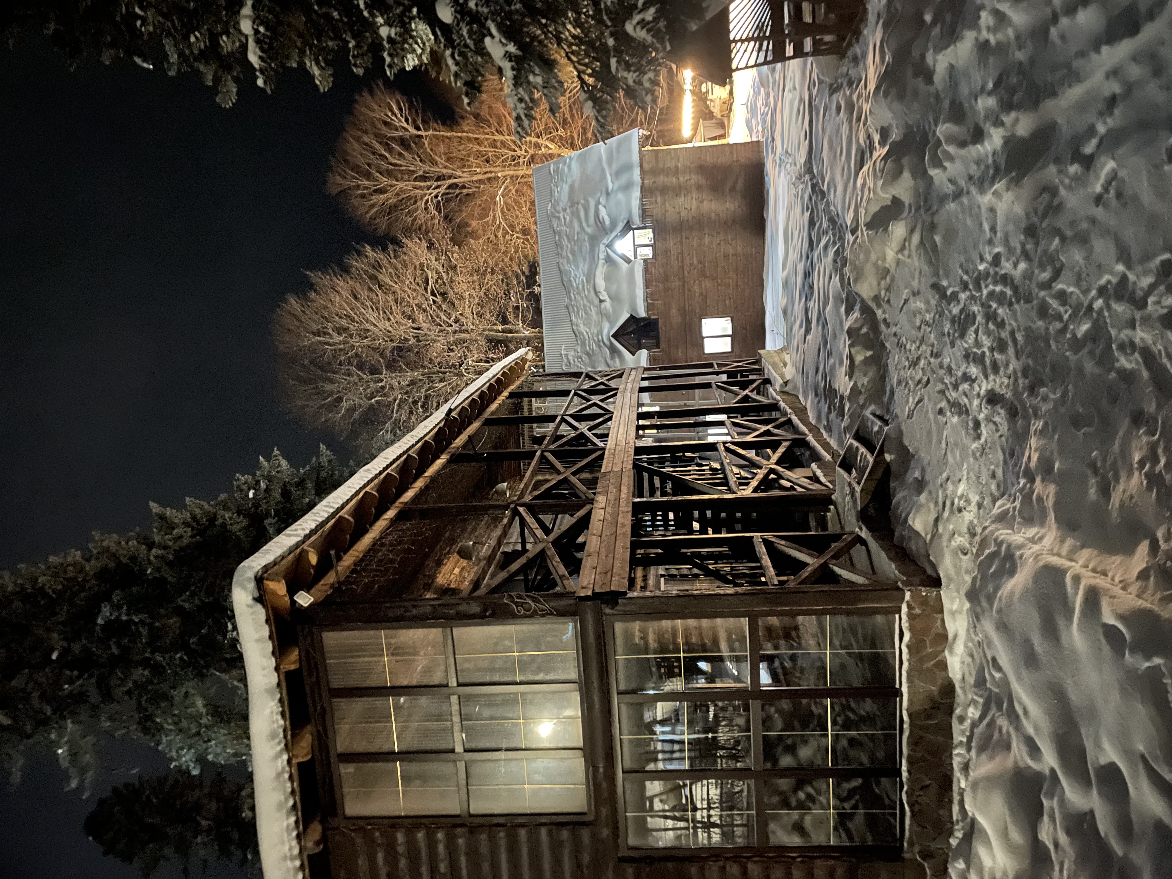 Фото Forest Yard