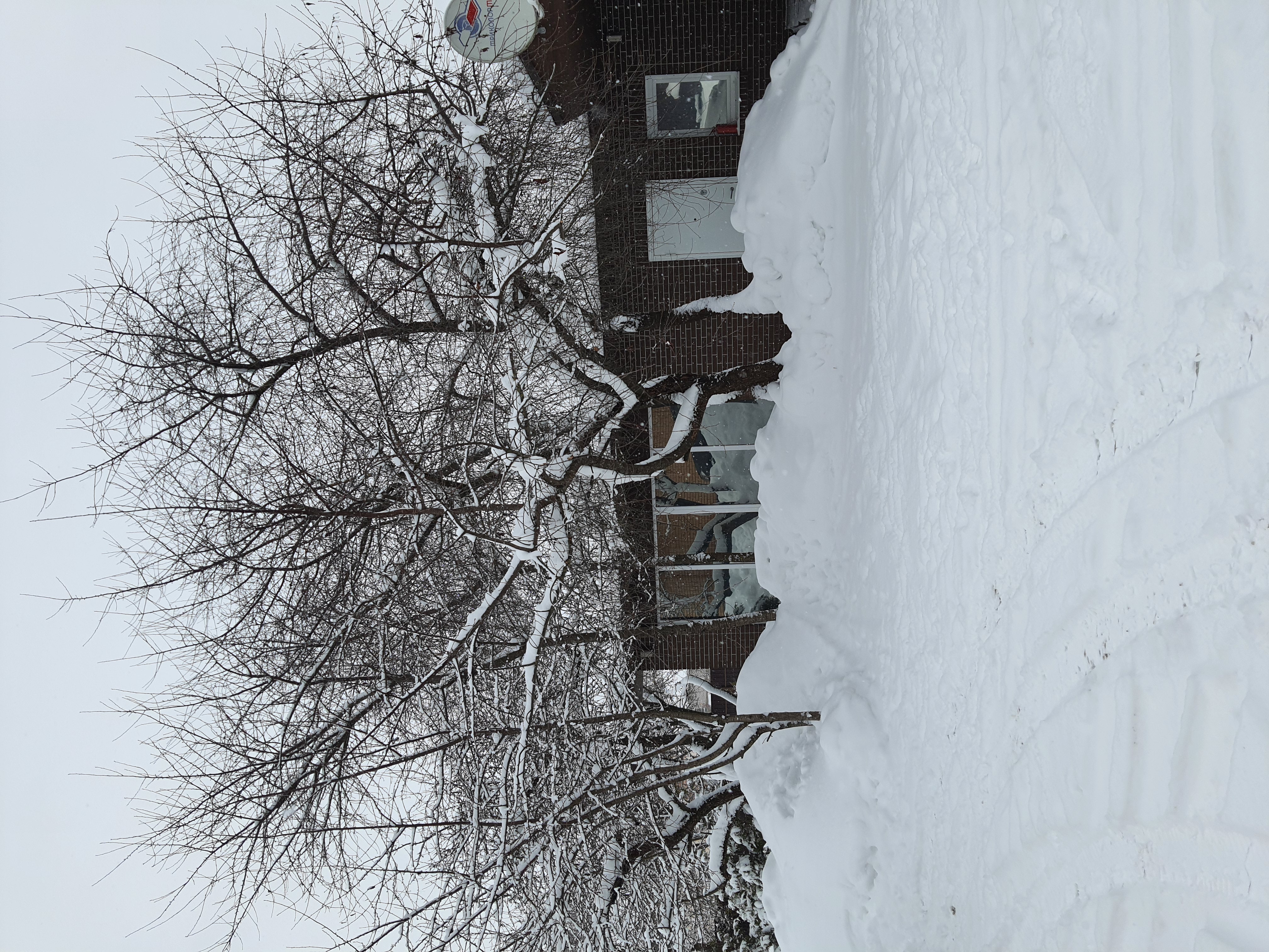 Фото Гостевой дом у Иветты