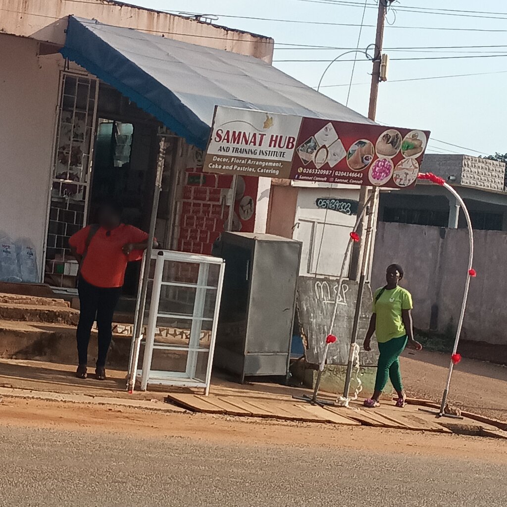 Organization and maintenance of exhibitions Samnat hub, Earth, photo