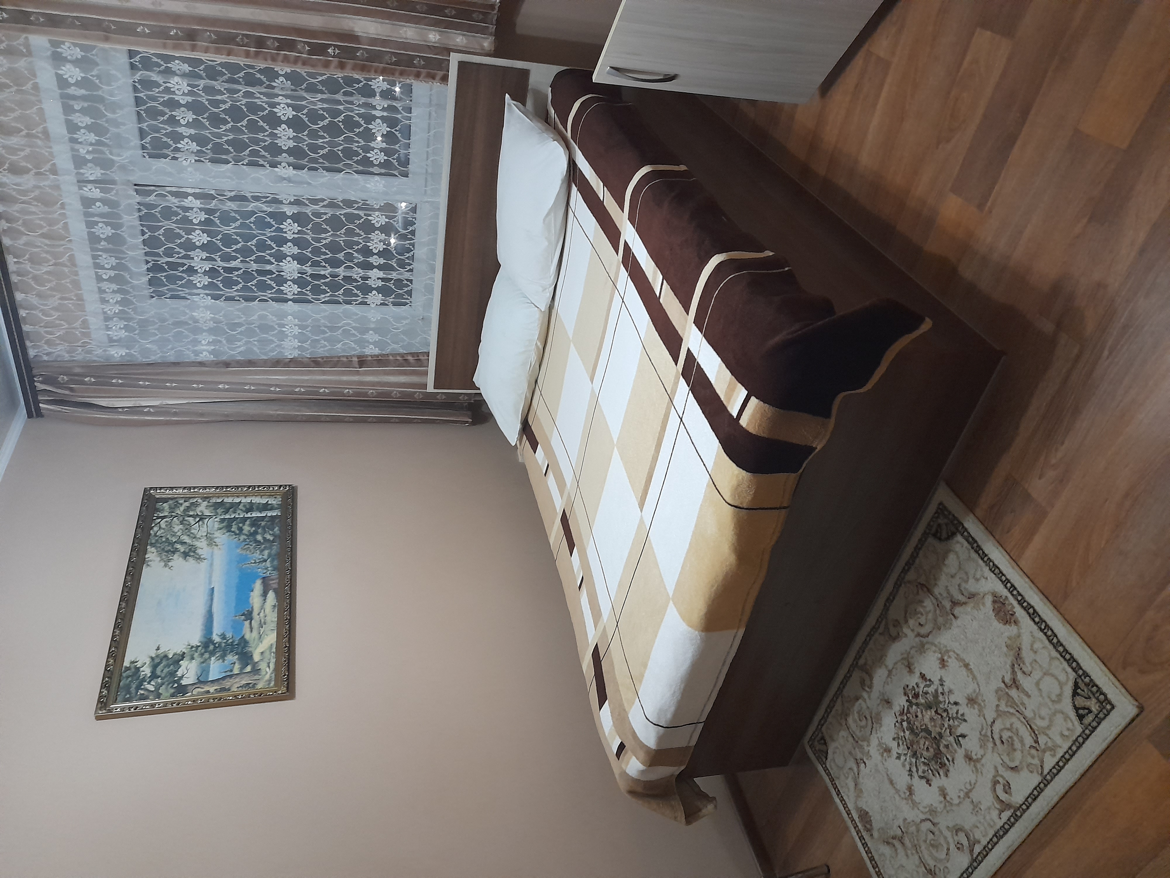 Фото Спутник