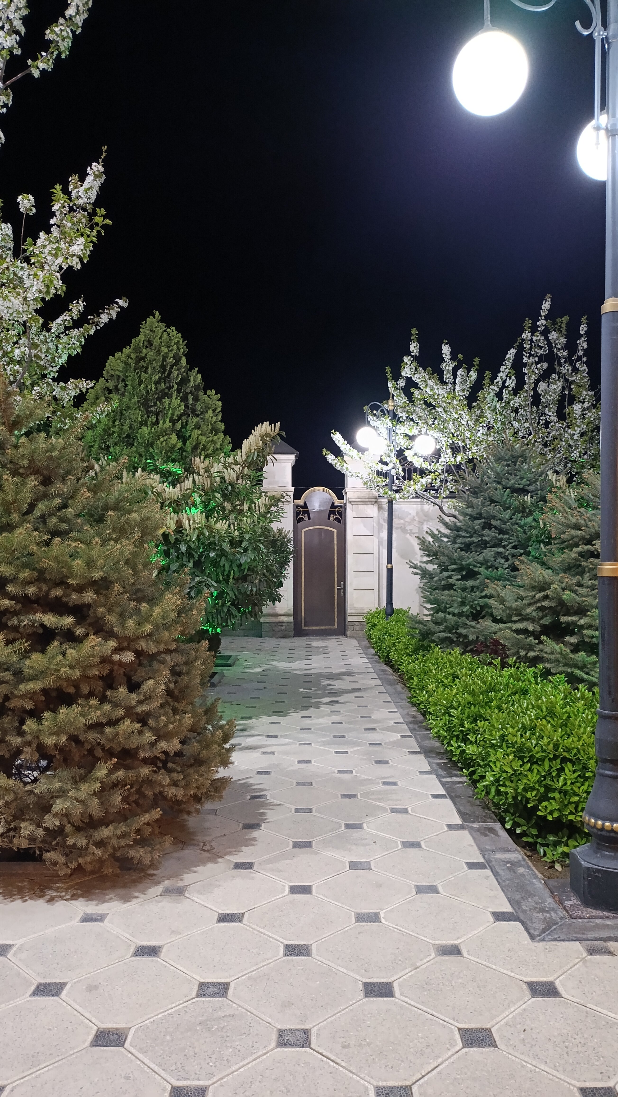 Фото Жемчужина