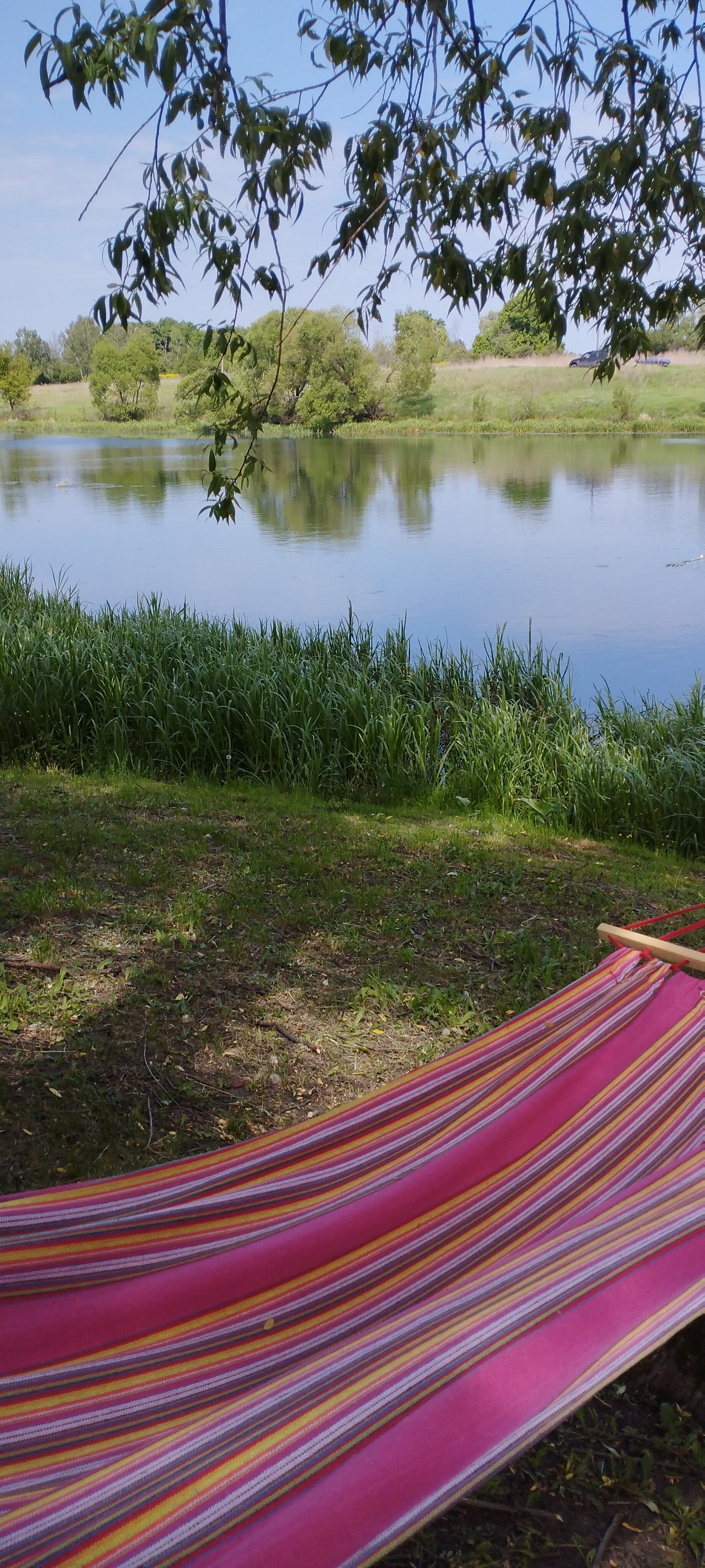 Фото Familyglamp Куликово поле