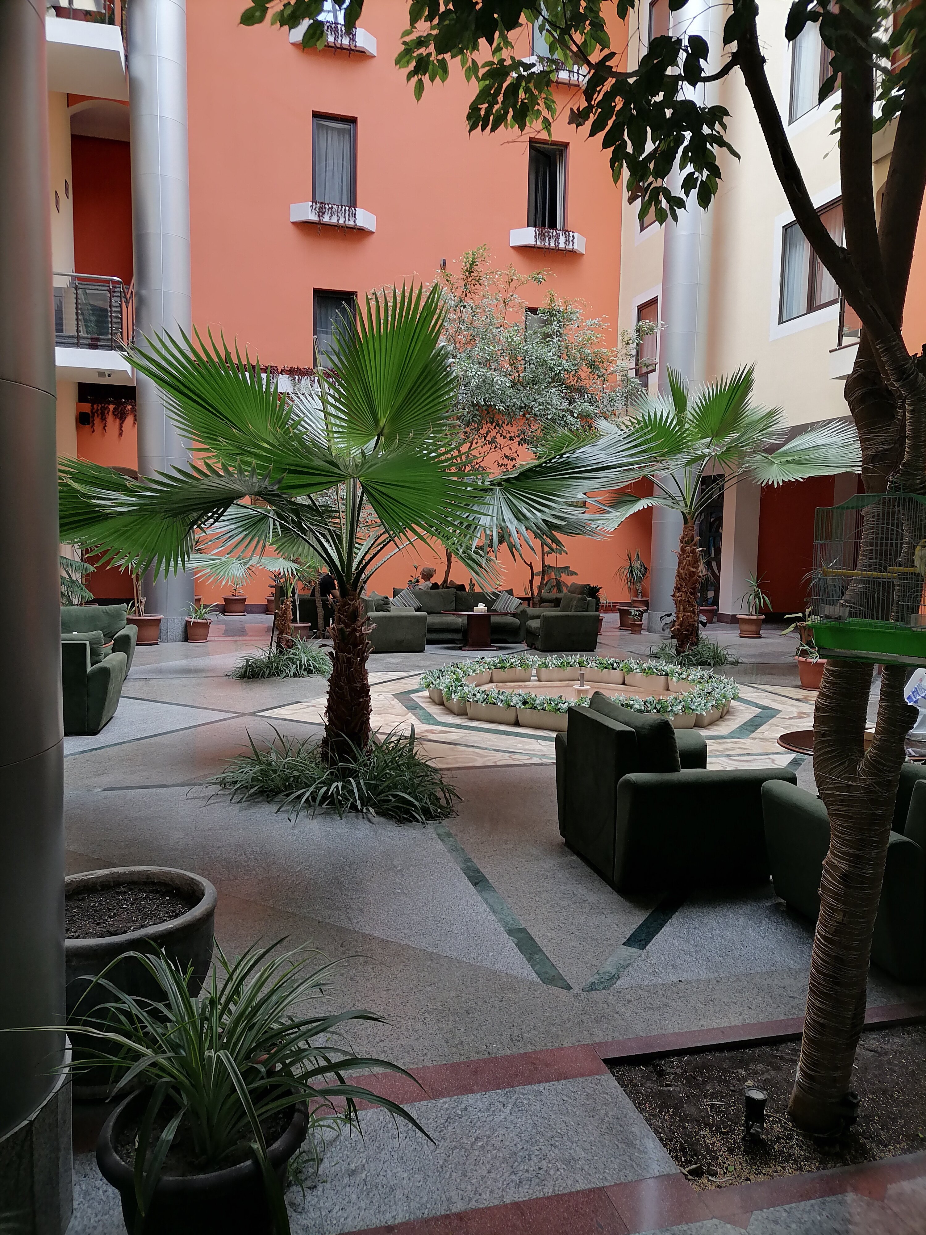 Фото Арарат