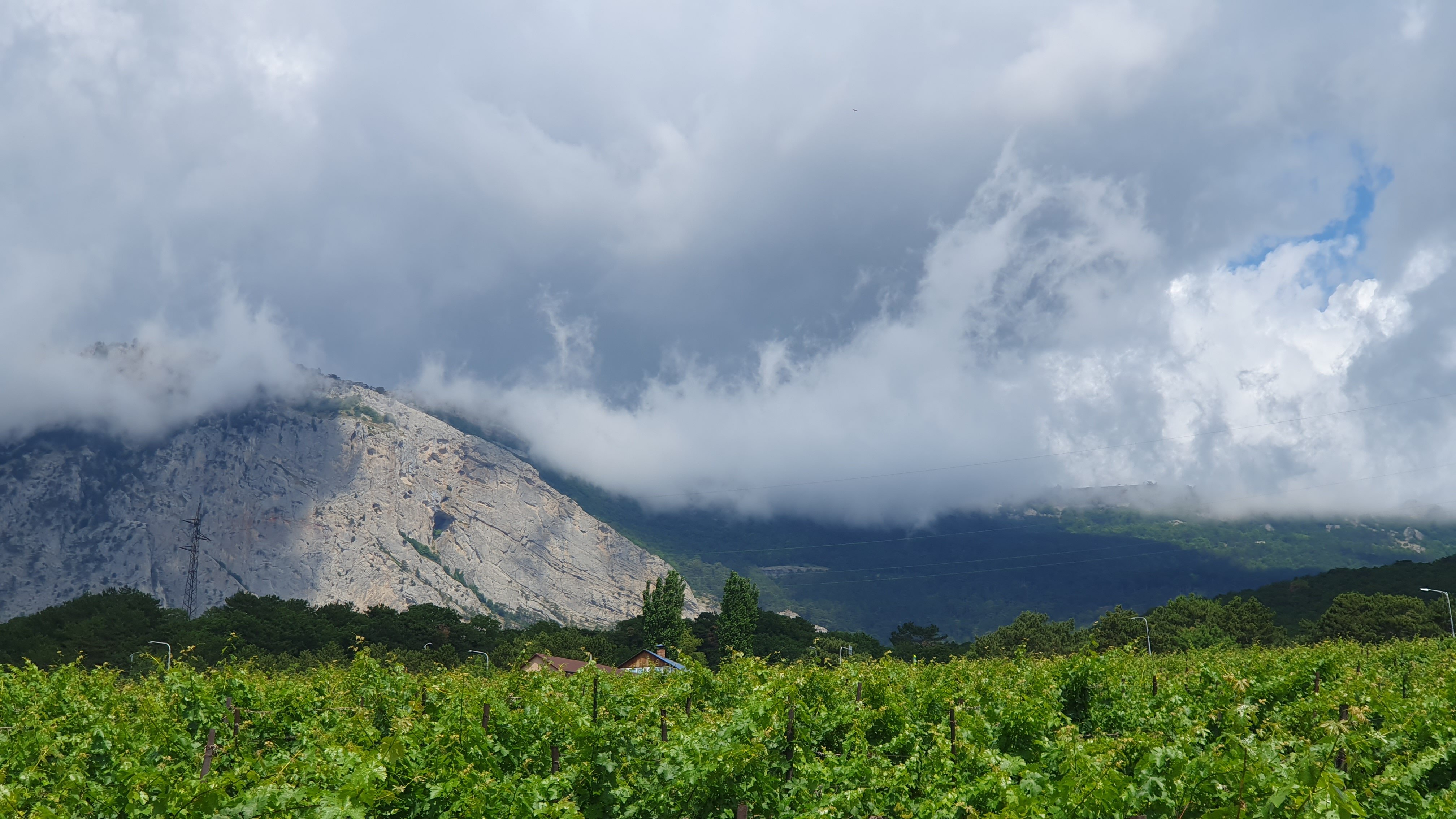 Фото Лесная Сказка