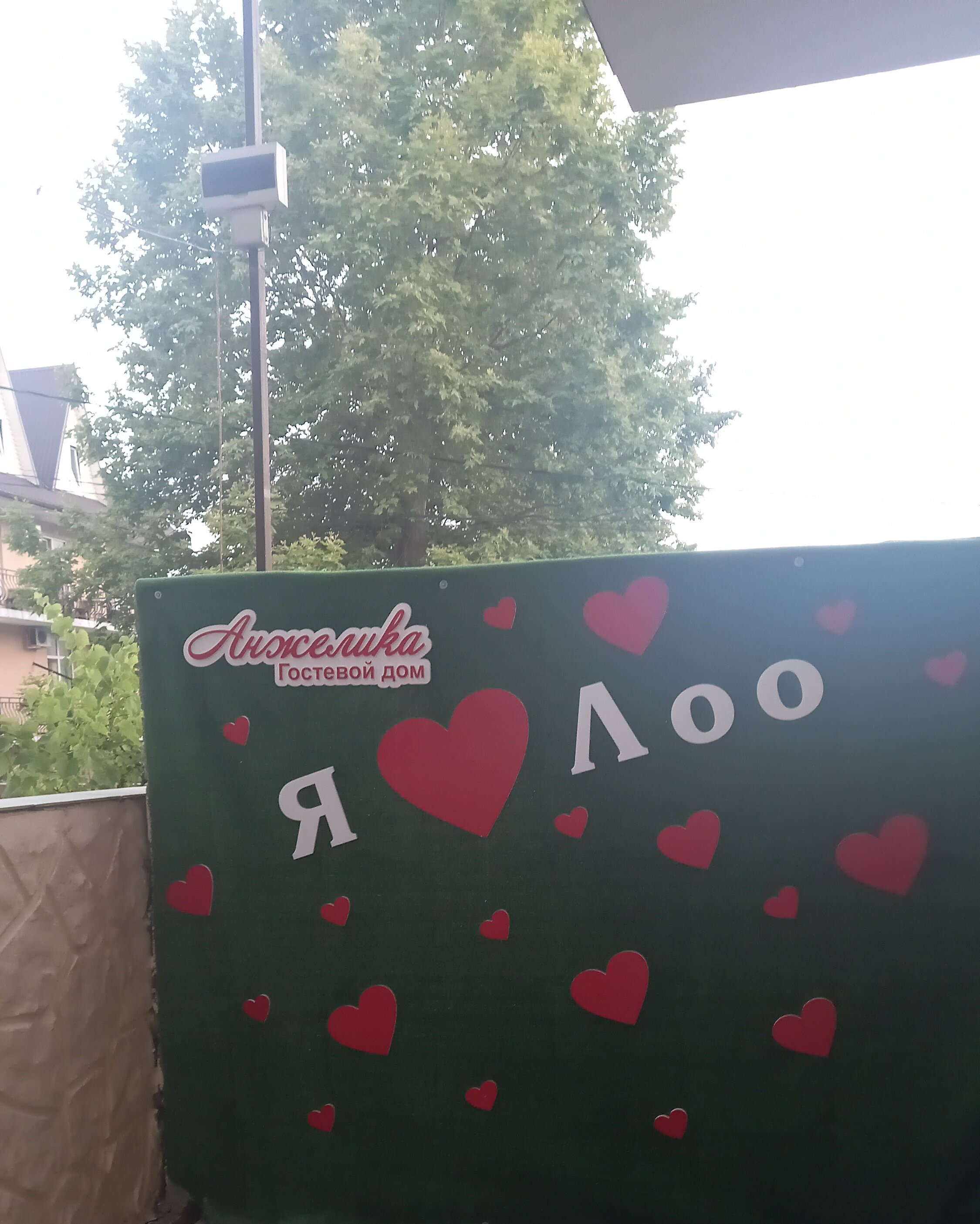 Фото Анжелика