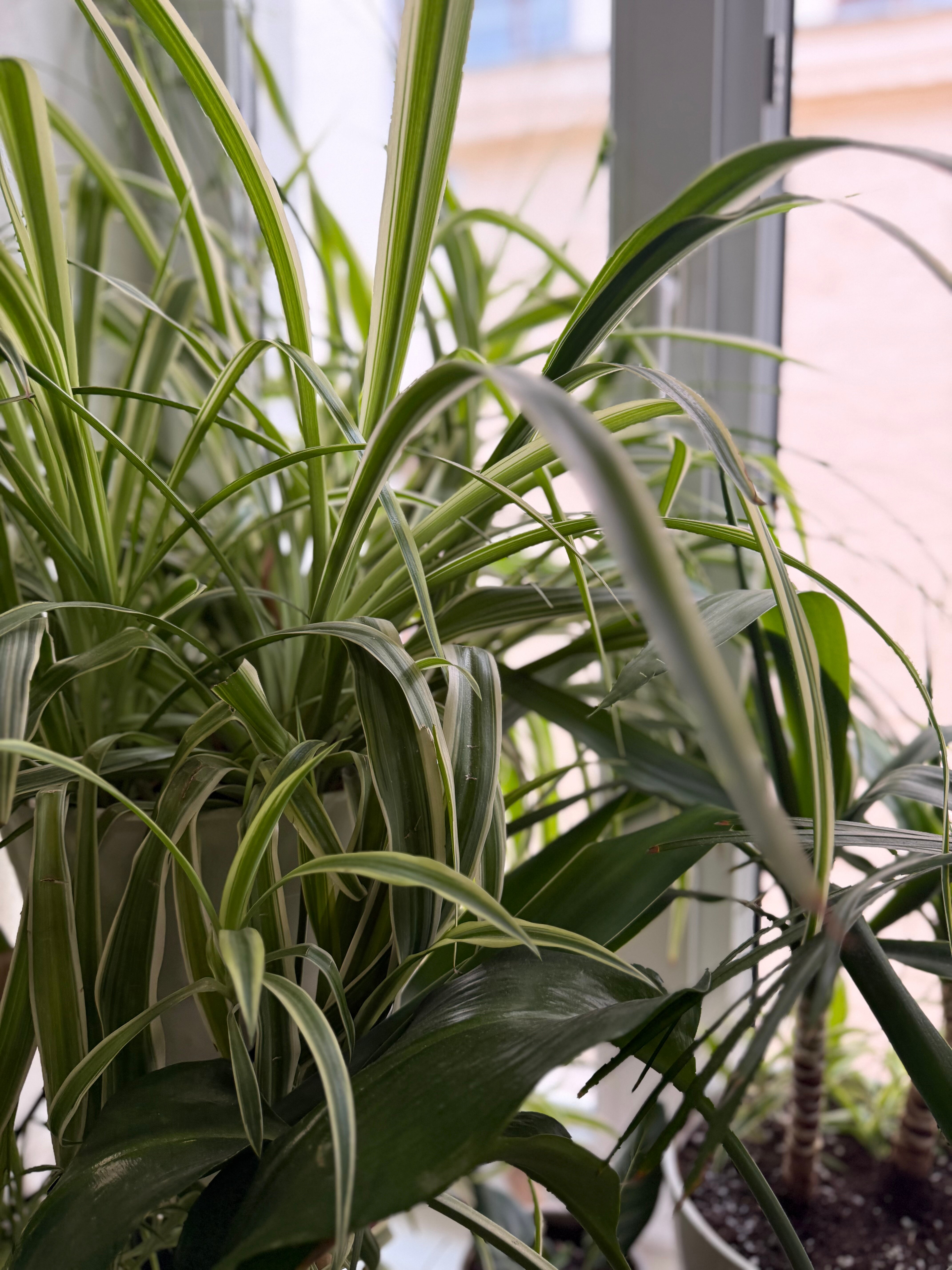 Фото Рус Театральная