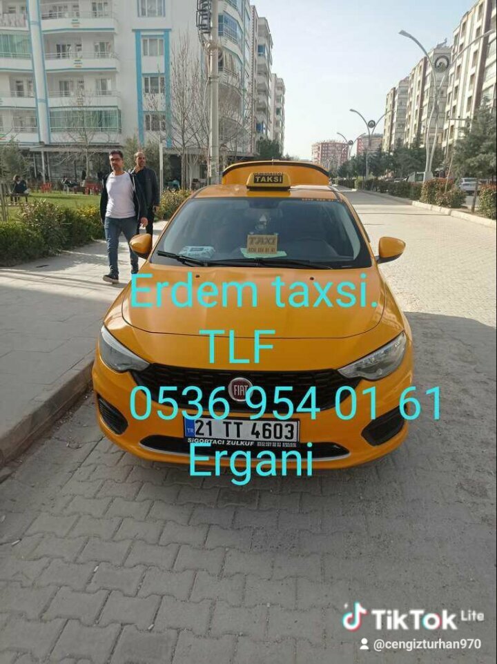 Mosque Alkis Site Haci Abbas Mosque, Ergani, photo