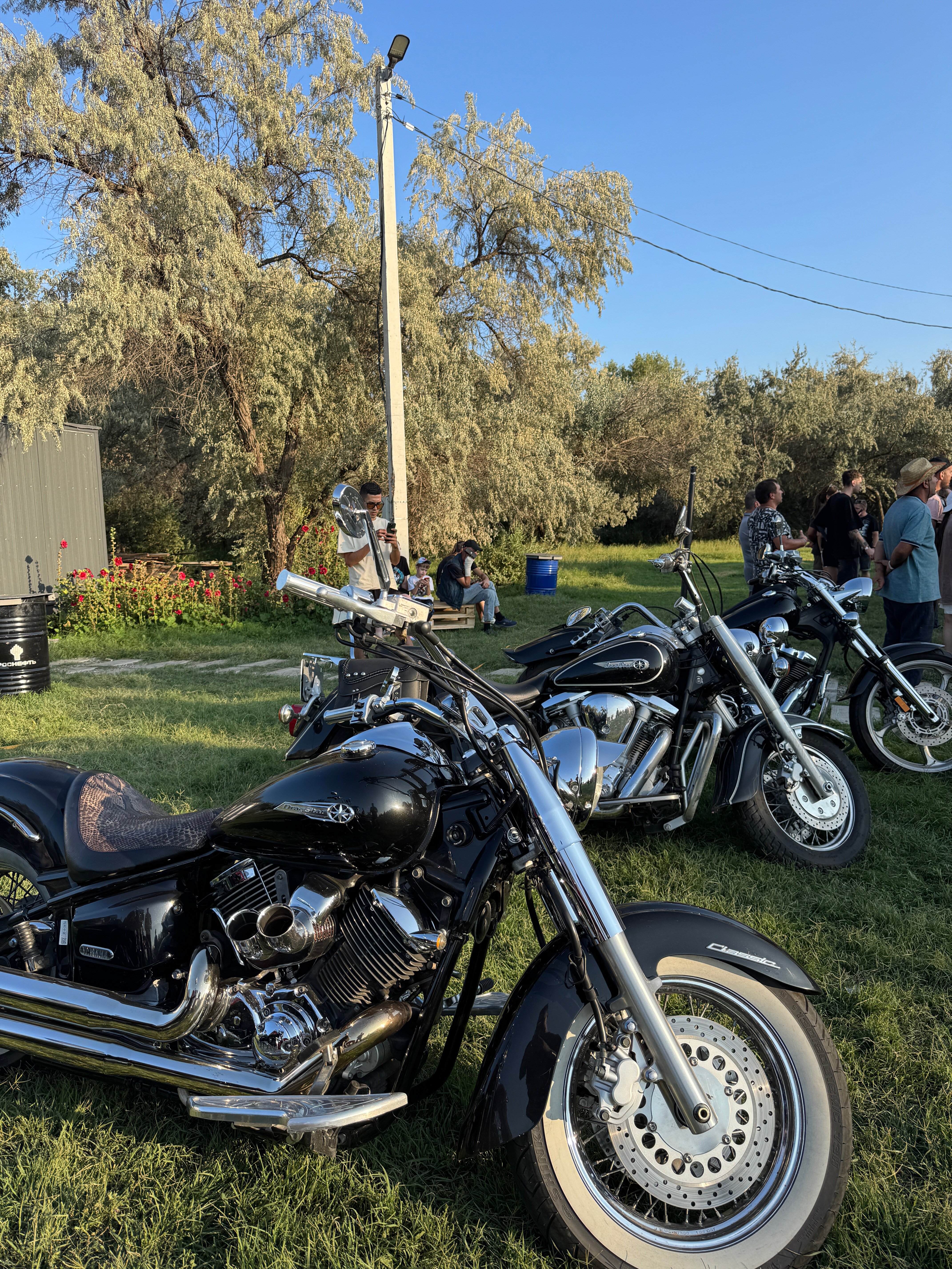 Фото Загородный парк Баклушино