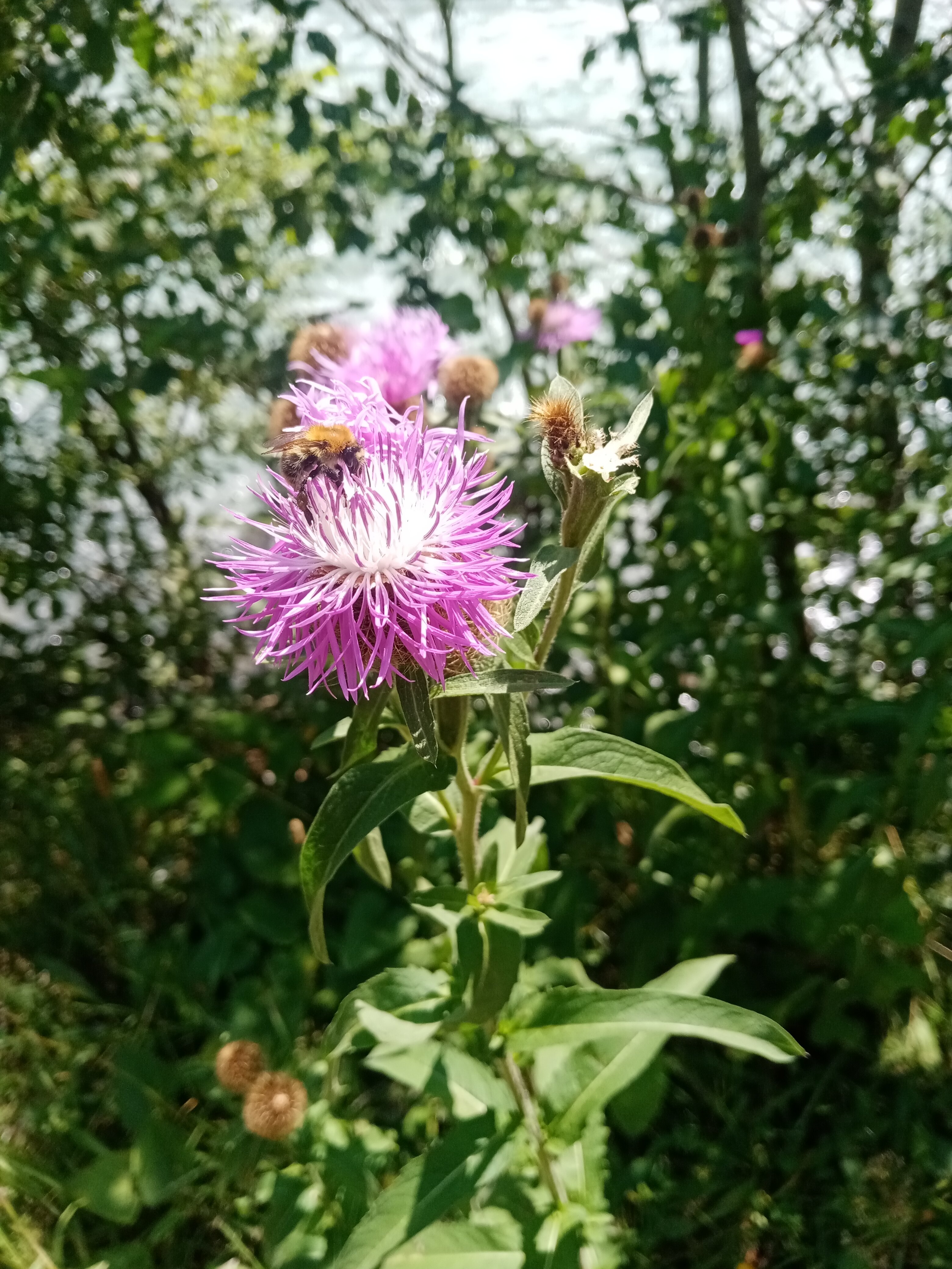 Фото Архыз-Парк