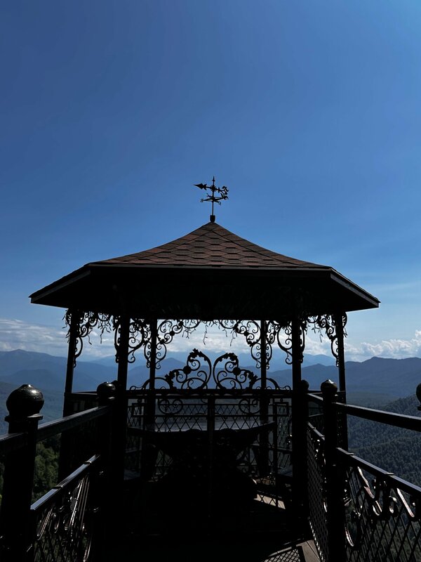 Ирина Агаркова