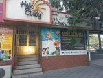 Hello Study (Dzhangildin street, 8), foreign language courses