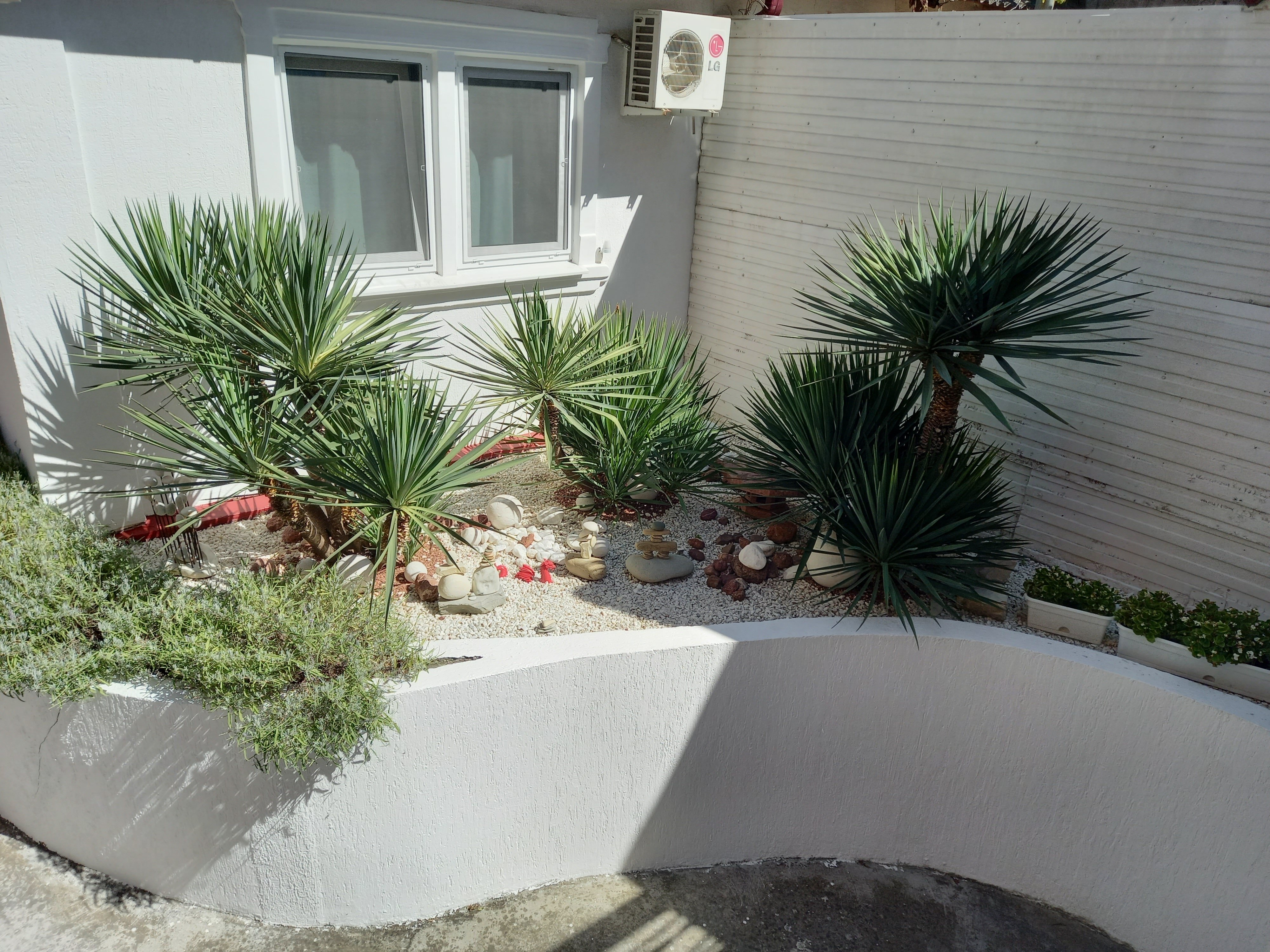 Фото Пекинский дворик