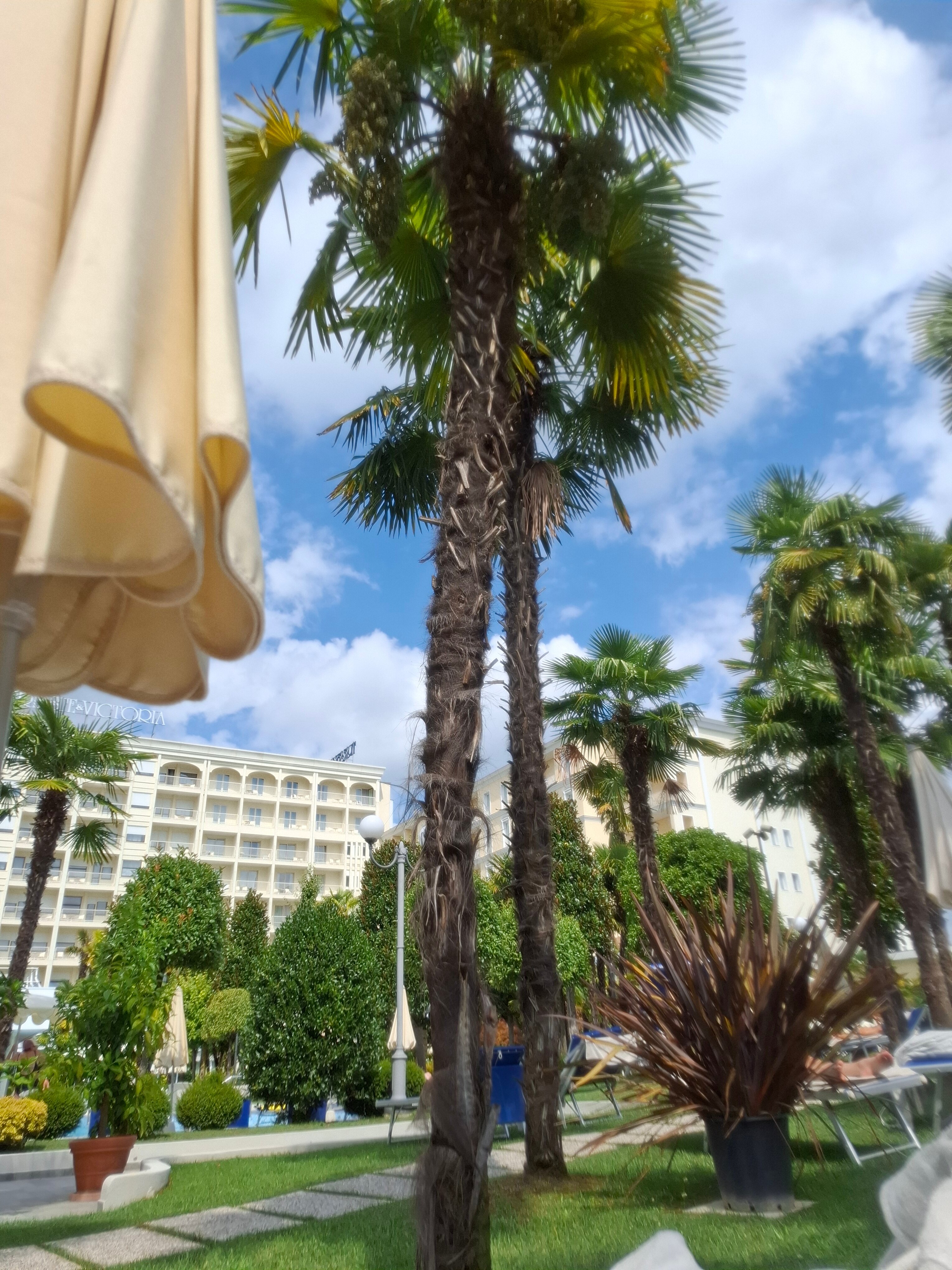 Фото Grand Hotel Trieste & Victoria