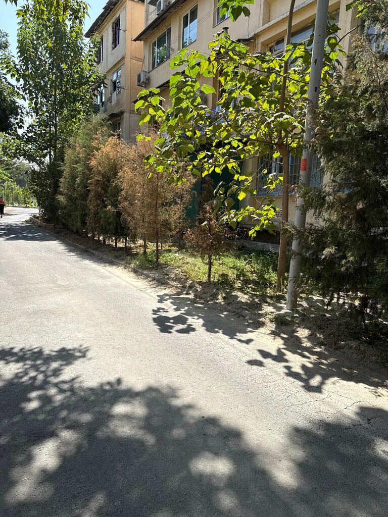 ATM Apex Bank, Tashkent, photo