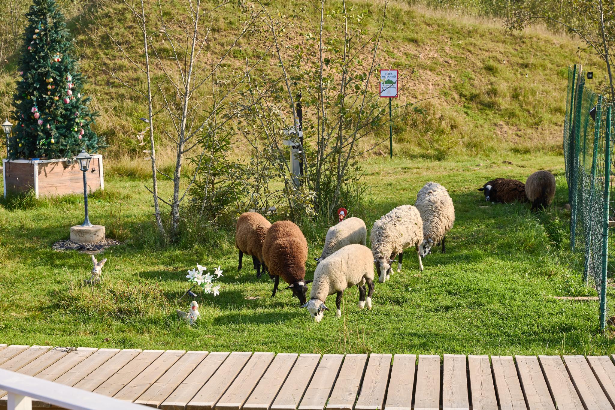 Фото Просто Эко