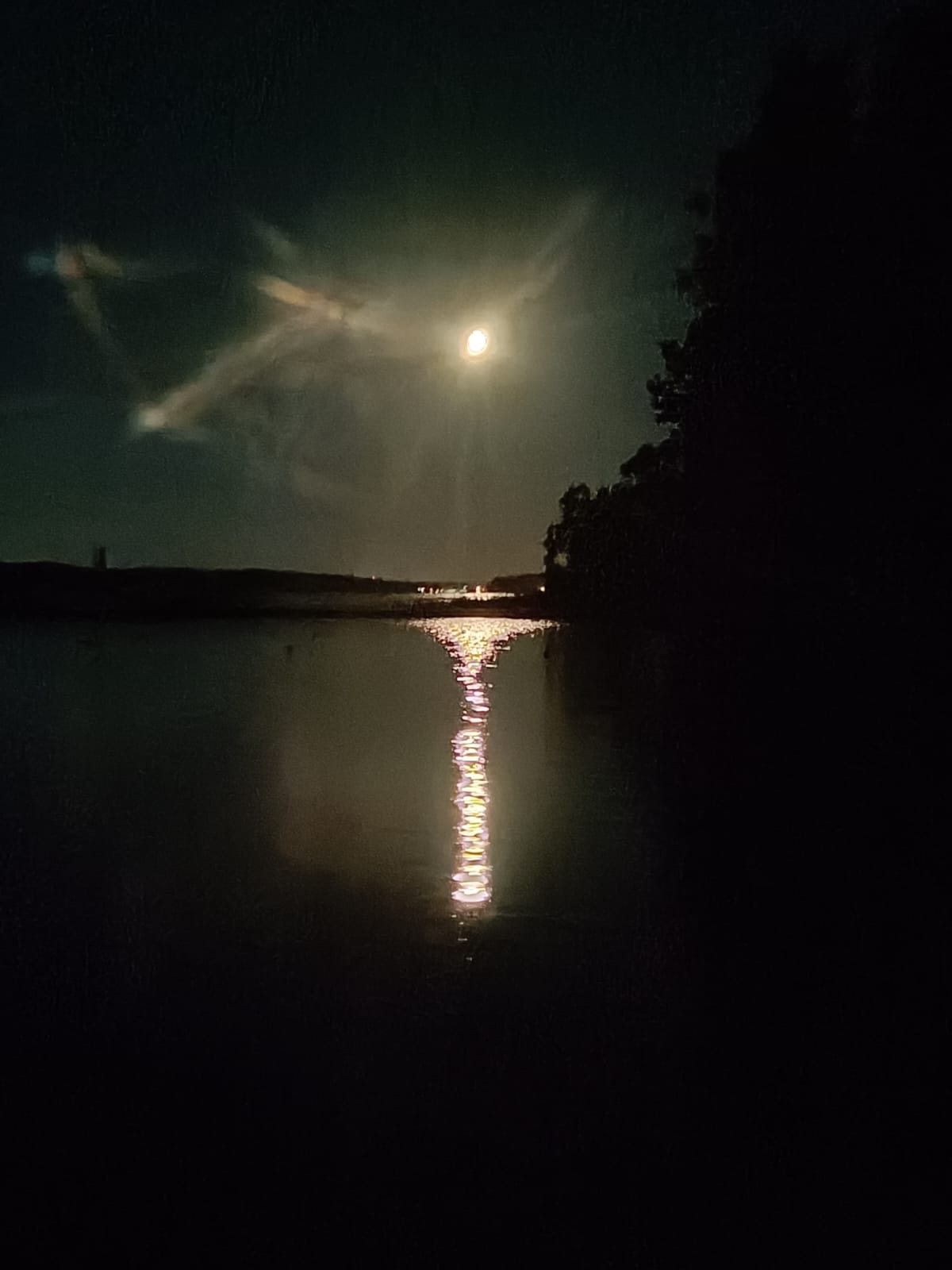 Фото Парк-отель Истра