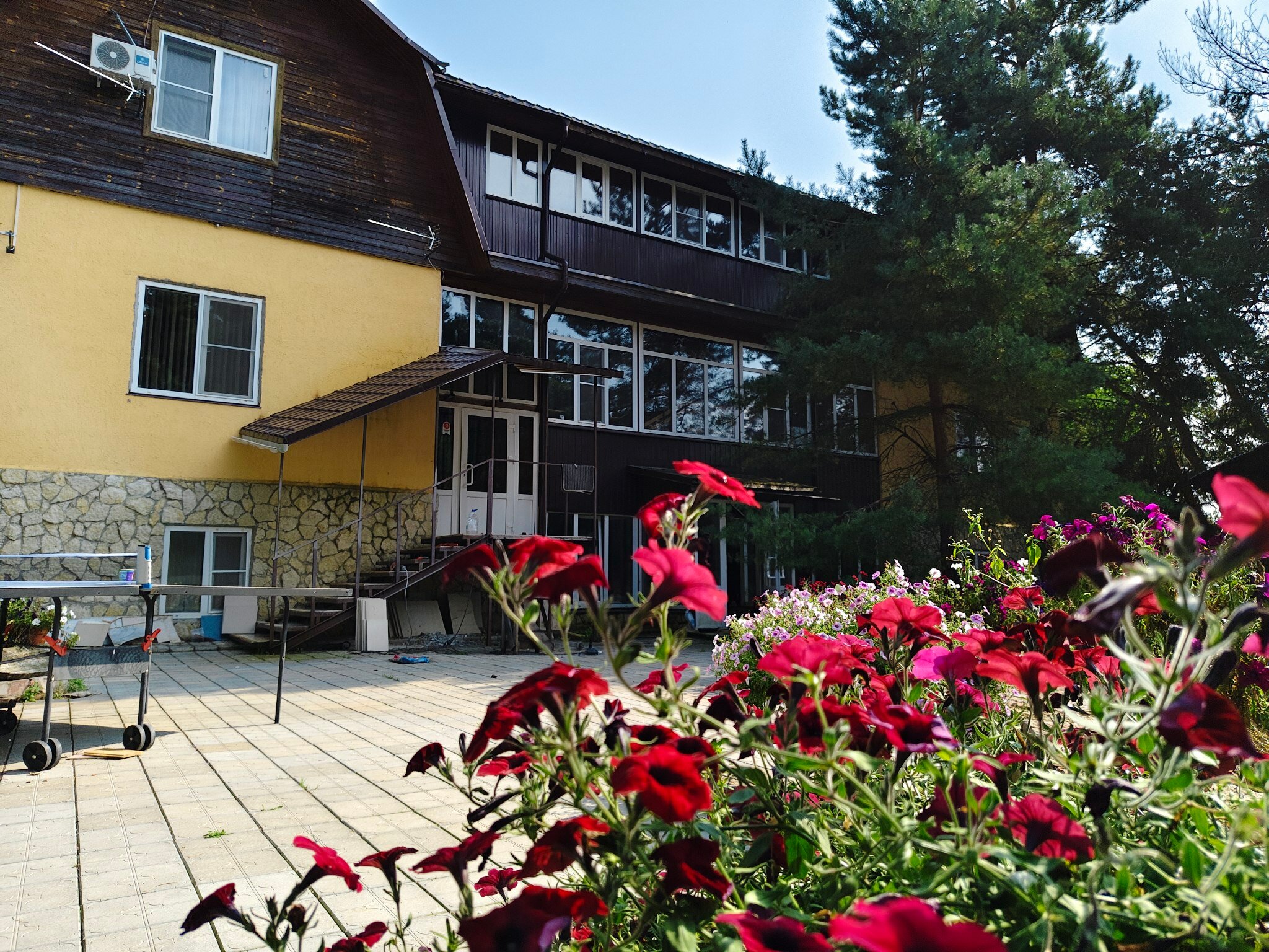 Фото Смоленка