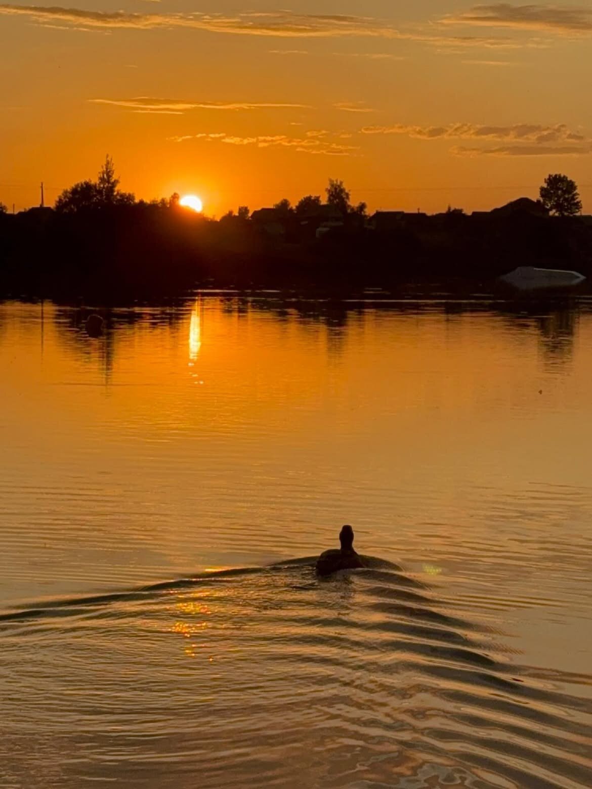 Фото FarFour Inn & Suite