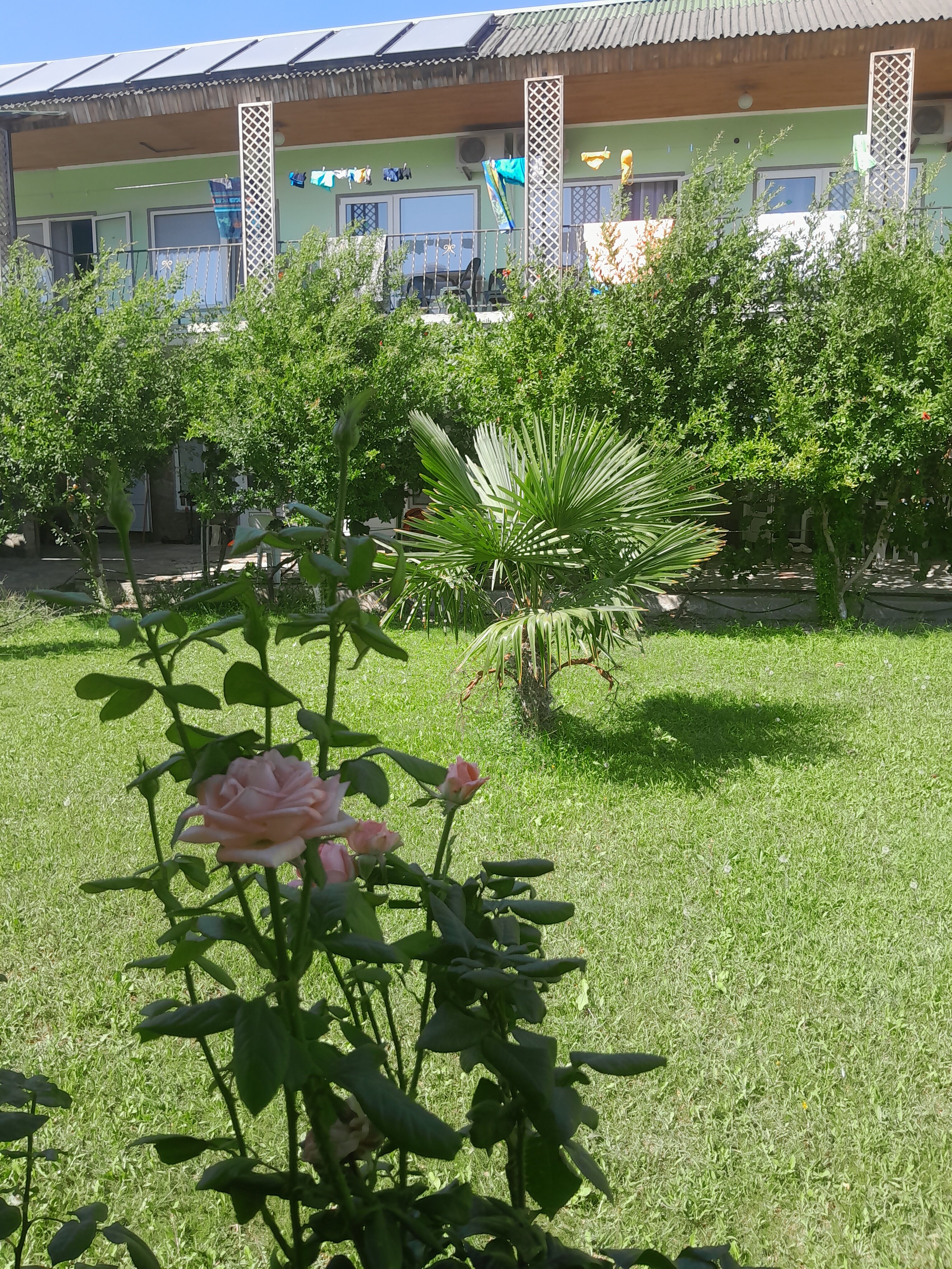 Фото Эльмаз