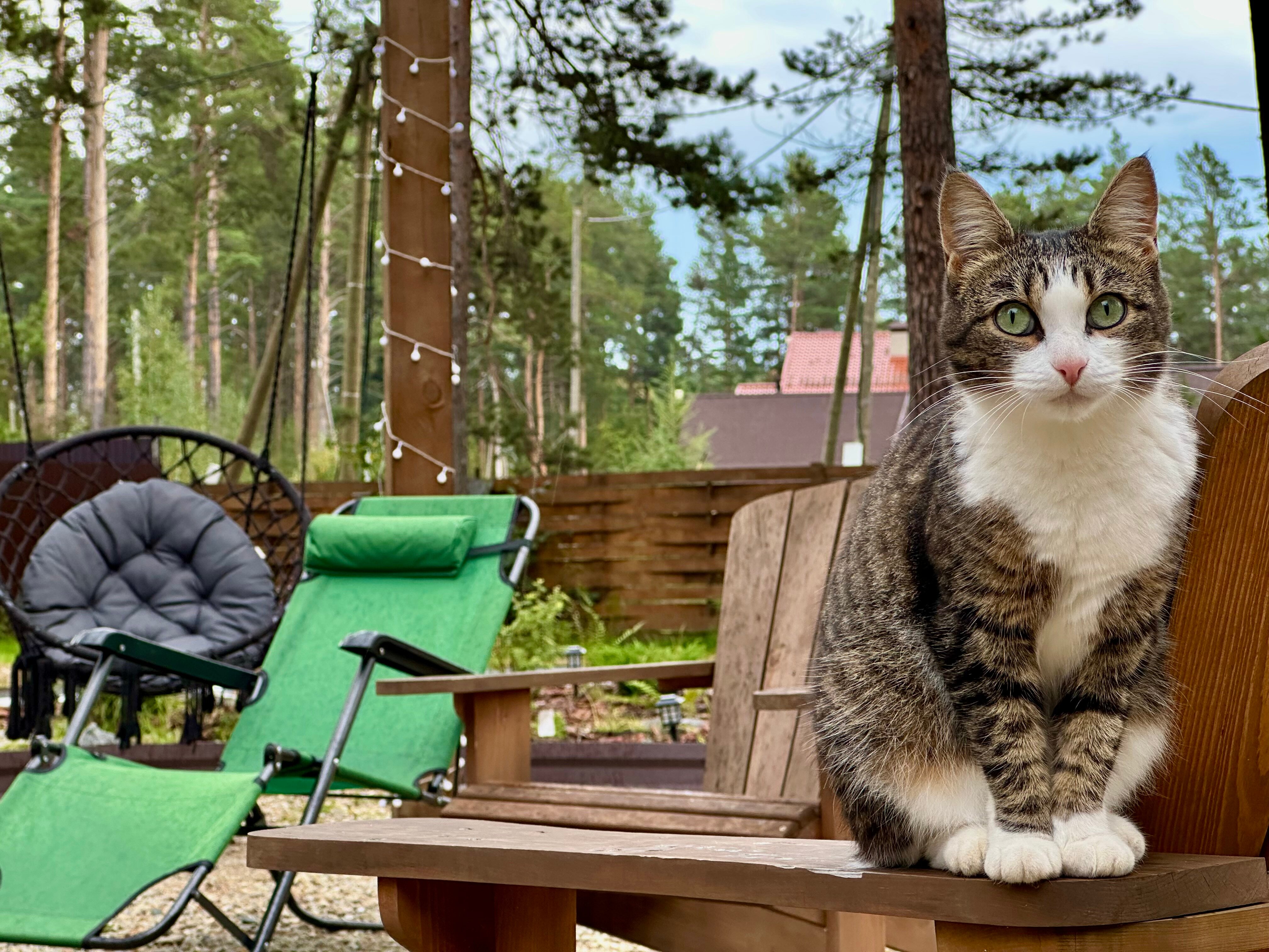 Фото Кунгурка Плэйс