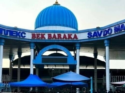 Havaskor xotinining katta eshagi